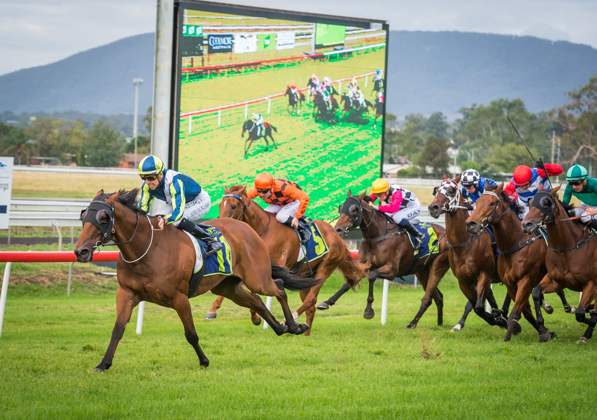 Melbourne Cup Day Muswellbrook Race Club